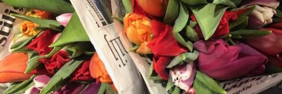 Tulpaner m tidningspapper